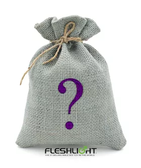 Fleshlight Mystery Bag - Masturbator And Shower Mount