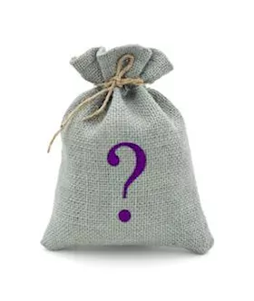 Mystery Bag - Christmas Promo Clit Suction Toy
