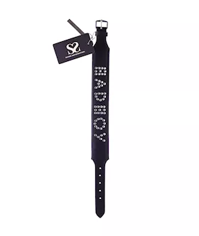 Bound X Bad Boy Studded Collar 