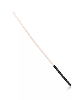 Thick Discipline Cane
