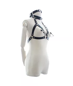 Ultimate Satisfaction Harness