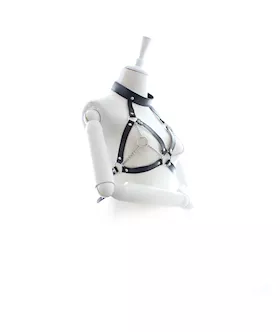 Greater Satisfaction Harness
