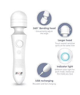 Drywell Wand Vibrator 
