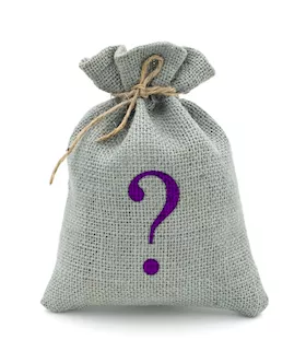 Mystery Bag - Sex Toys - Platinum