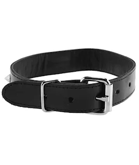 Rouge Leather Thin Studded Collar