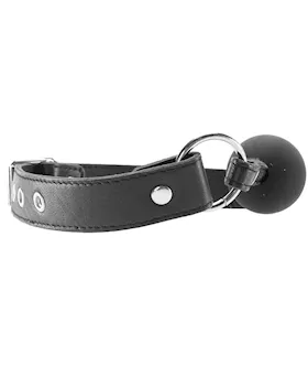 Rouge Leather And Rubber Ball Gag