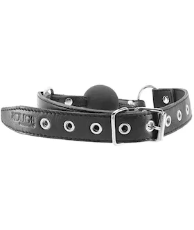 Rouge Leather And Rubber Ball Gag