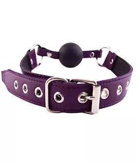 Rouge Leather And Rubber Ball Gag