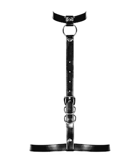 Obsessive Destiny - Harness