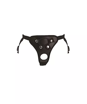 Double Extensions Harness