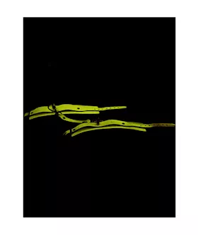 Luminated Glow In The Dark Handcuffs