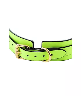 Luminated Glow In The Dark Collar