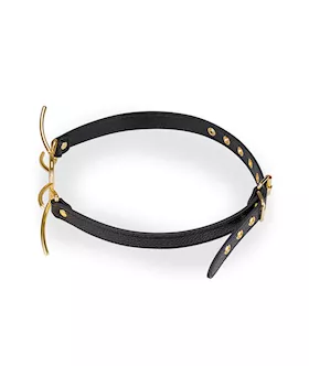 Golden Spider Gag