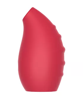 Share Satisfaction Suction Vibrator
