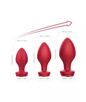 Amore Rose Garden Anal Training Kit