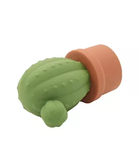 Cactus Vibrator