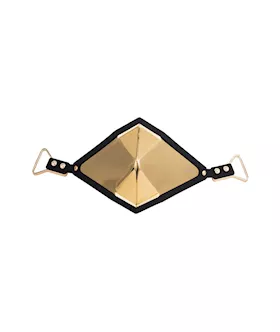 Lockink Golden Punker Muzzle Gag Set 