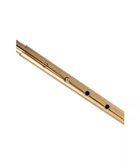 Lockink Adjustable Golden Anal Hook Plug