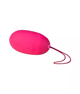 Easytoys Big Vibrating Egg With Remote