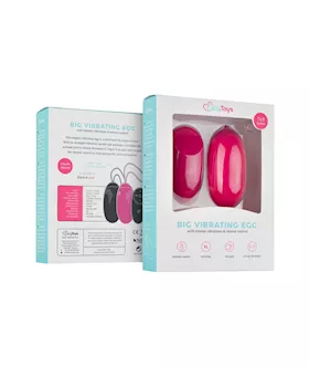 Easytoys Big Vibrating Egg With Remote