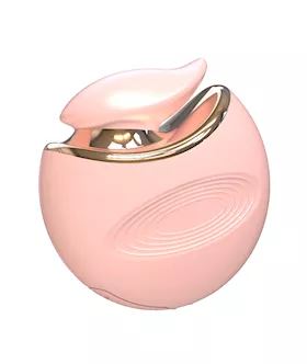 Pouch Mini Vibrator