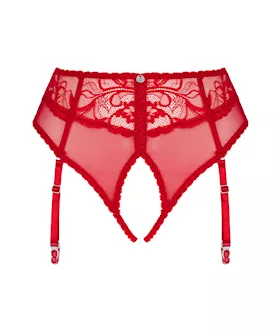 Obsessive Dagmarie Garter Panties 