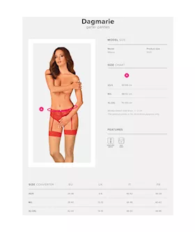 Obsessive Dagmarie Garter Panties 