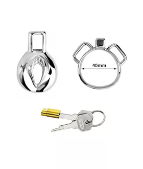 Imprisoned Sissy Stainless Steel Chastity Cage