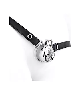 Imprisoned Sissy Stainless Steel Chastity Cage With Belt