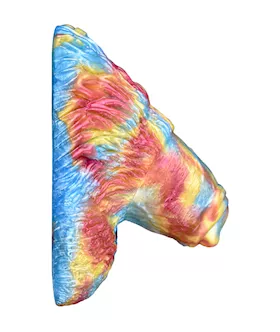 Wild Flaming Phoenix Fantasy Grinder