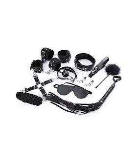 Shades Of Love Control Couples Passion Kit