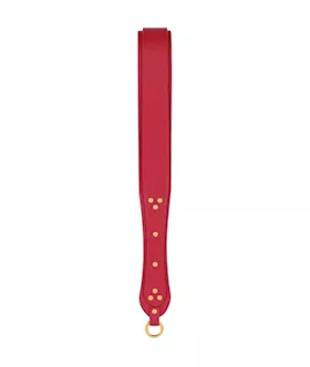Double-deck Paddle