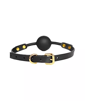 Shush Silicone Ball Gag