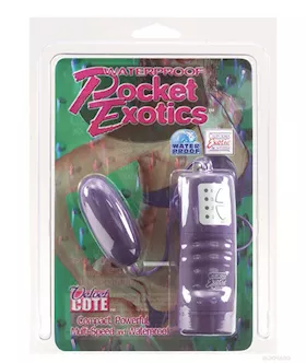 Pocket Exotics Bullet Waterproof  Purple