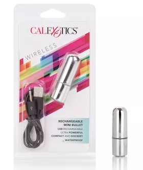 Rechargeable Mini Bullet - Silver