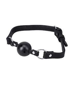 In A Bag Ball Gag  Black