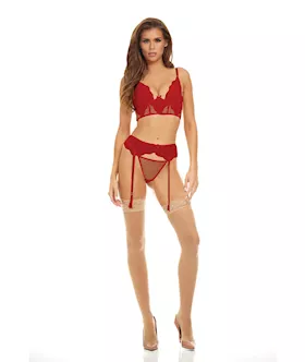 Bombshell Boudoir Lace & Mesh Peek A Boo Wire Bra, Garter Belt & G-string Red Lg