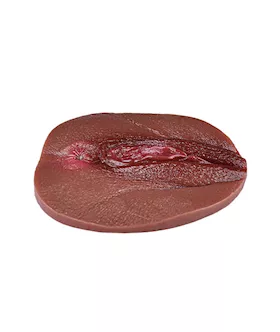 Vagina Panty Pad