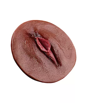 Vagina Panty Pad