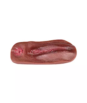 Vagina Panty Pad