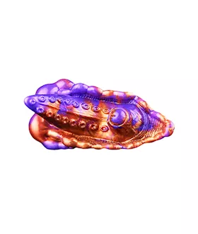 Tentacle Remote Controlled Vibrating Fantasy Grinder