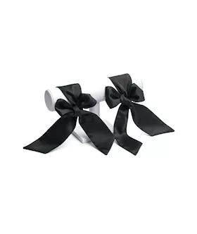 Amourous 4 Piece Beginner's Bondage Set