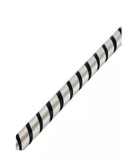 Passionate Electric Whip