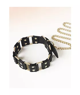 Traction Collar
