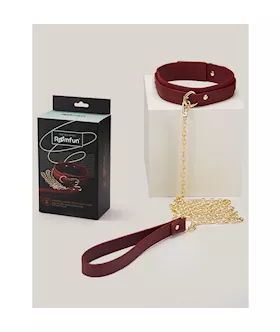 Leather Collar With Leash