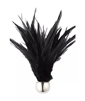 Flirting Feathers