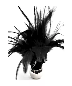 Flirting Feathers