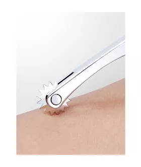 Pen Wartenberg Pinwheel