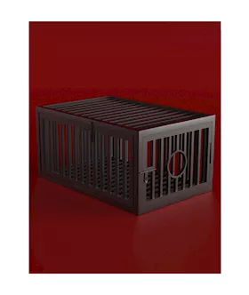 Captivity Prisoners Cage
