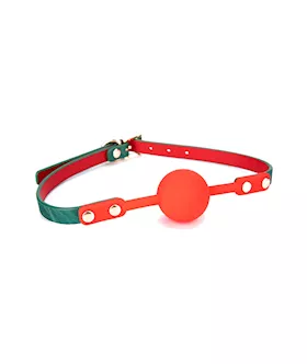 Xander Bondage Kit